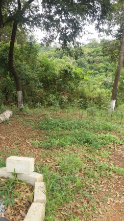 Imagem Chácara com 2 Quartos à Venda, 1.300 m² em Pirucaia - Mairiporã