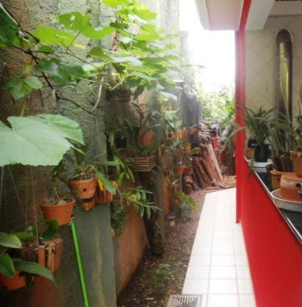 Imagem Casa com 4 Quartos à Venda, 343 m² em Jardim Indaiá - Embu Das Artes