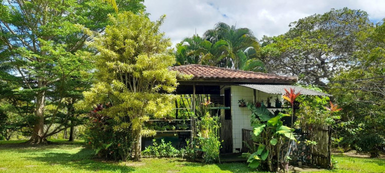 Imagem Chácara com 3 Quartos à Venda, 5.700 m² em Barra Do Pojuca (monte Gordo) - Camaçari Imagem Chácara com 3 Quartos à Venda, 5.700 m² em Barra Do Pojuca (monte Gordo) - Camaçari