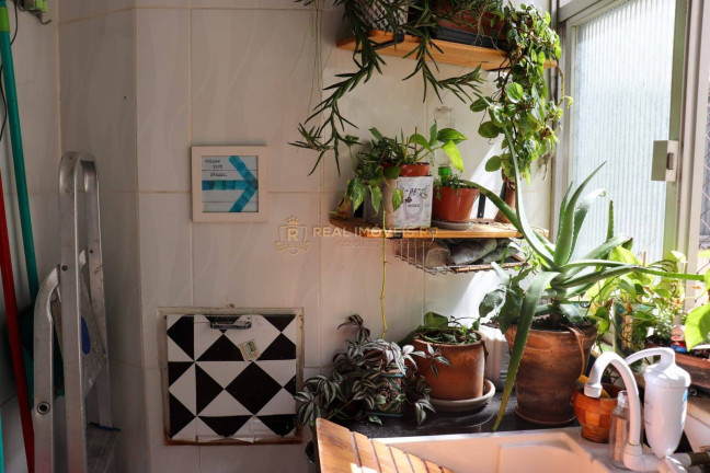 Imagem Apartamento com 3 Quartos à Venda, 100 m² em Tijuca - Rio De Janeiro