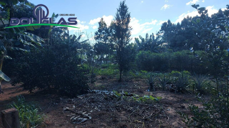 Chácara com 3 Quartos à Venda, 10.000 m² em Viamão