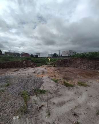 Imagem Terreno à Venda, 5.000 m² em Centro - Pinhais