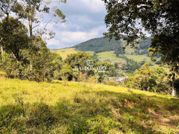 Terreno à Venda, 8.000 m² em Centro - Toledo
