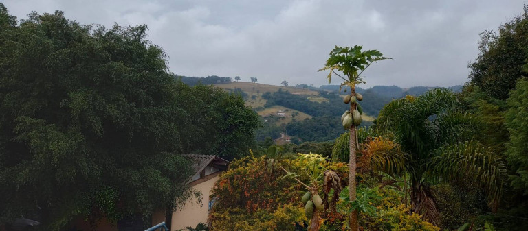 Imagem Chácara com 3 Quartos à Venda, 6.000 m² em Buenos - Piedade