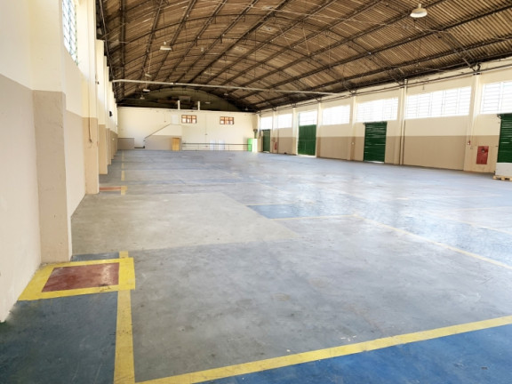 Imagem Galpão para Alugar, 1.233 m² em Vila Palmeiras - São Paulo