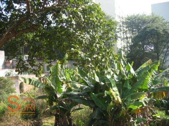 Imagem Terreno à Venda, 1.350 m² em Centro - Diadema Imagem Terreno à Venda, 1.350 m² em Centro - Diadema