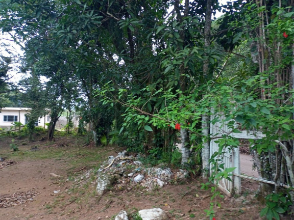 Imagem Chácara com 1 Quarto à Venda, 90 m² em Agenor De Campos - Mongaguá Imagem Chácara com 1 Quarto à Venda, 90 m² em Agenor De Campos - Mongaguá
