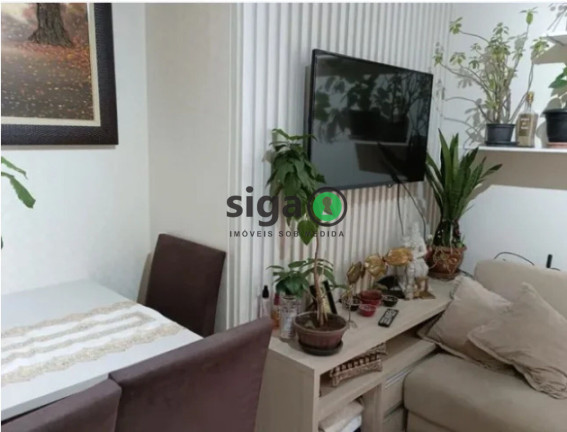 Imagem Apartamento com 2 Quartos à Venda, 65 m² em Vila Mascote - São Paulo Imagem Apartamento com 2 Quartos à Venda, 65 m² em Vila Mascote - São Paulo