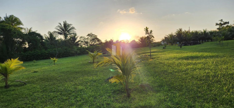 Imagem Chácara com 2 Quartos à Venda, 14.600 m² em Povoado - Pedras De Fogo