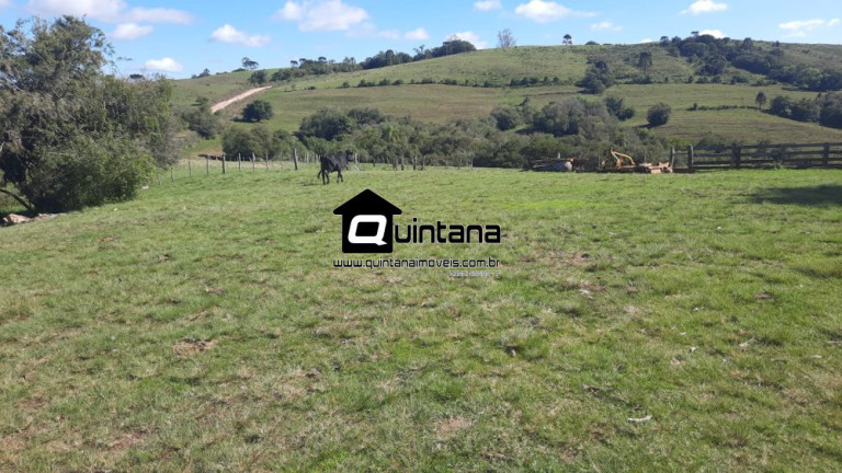Imagem Imóvel com 2 Quartos à Venda, 8.000.000 m² em Centro - Santana Da Boa Vista