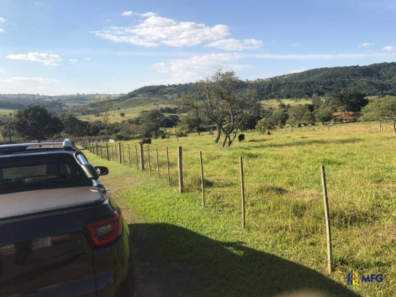 Imagem Fazenda à Venda, 5 m² em área Rural - Avaré Imagem Fazenda à Venda, 5 m² em área Rural - Avaré