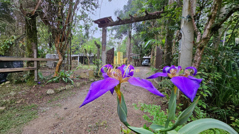 Imagem Terreno à Venda, 1 m² em Santo Amaro Da Imperatriz Imagem Terreno à Venda, 1 m² em Santo Amaro Da Imperatriz