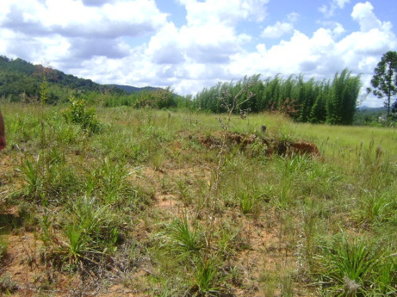 Imagem Terreno à Venda, 15.700 m² em Acesso Para Carretas - Mairiporã Imagem Terreno à Venda, 15.700 m² em Acesso Para Carretas - Mairiporã