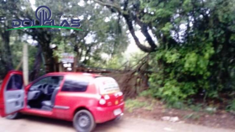 Imagem Terreno à Venda, 1.960 m² em Viamão Imagem Terreno à Venda, 1.960 m² em Viamão