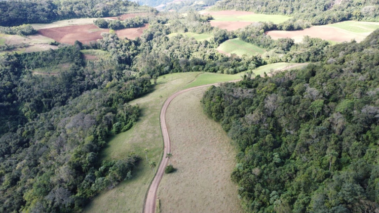 Imagem Chácara com 4 Quartos à Venda, 365.000 m² em Centro - Vale Do Sol