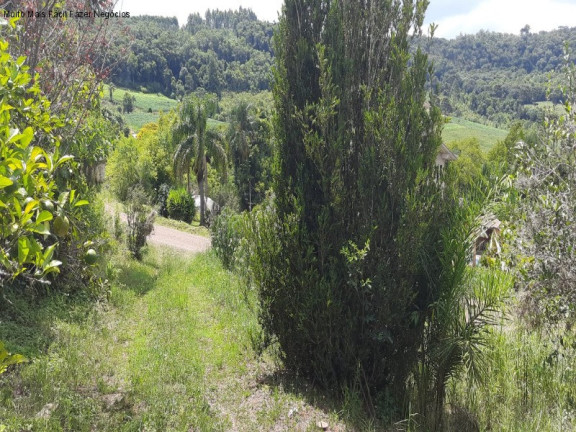 Imagem Imóvel com 3 Quartos à Venda, 142 m² em Linha Brasil - Nova Petrópolis Imagem Imóvel com 3 Quartos à Venda, 142 m² em Linha Brasil - Nova Petrópolis