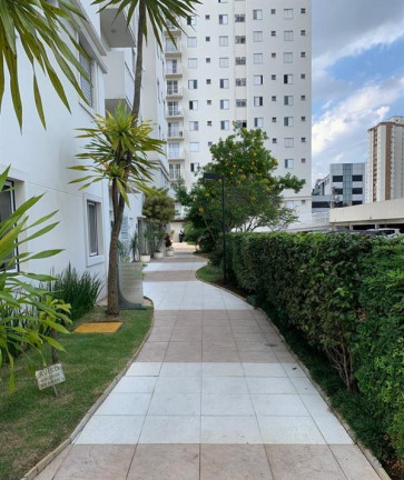 Imagem Apartamento com 3 Quartos à Venda, 65 m² em Vila Alzira - Santo André Imagem Apartamento com 3 Quartos à Venda, 65 m² em Vila Alzira - Santo André