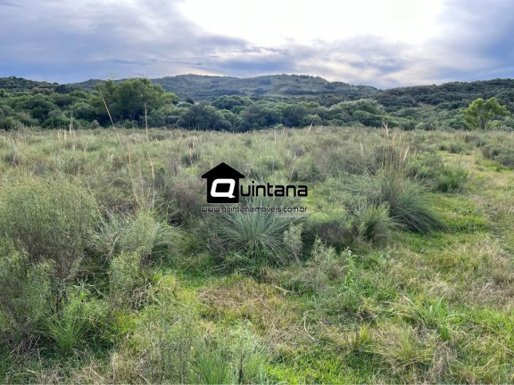 Imagem Imóvel à Venda, 200.000 m² em 2º Distrito - Piratini Imagem Imóvel à Venda, 200.000 m² em 2º Distrito - Piratini
