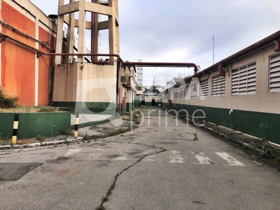 Imagem Terreno à Venda, 28.820 m² em Vila Maria Baixa - São Paulo Imagem Terreno à Venda, 28.820 m² em Vila Maria Baixa - São Paulo