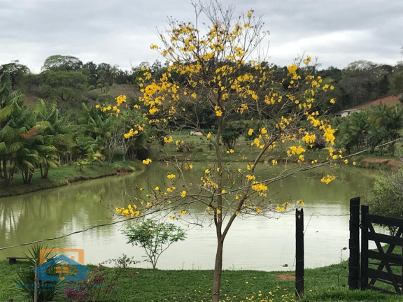 Imagem Fazenda à Venda, 55.000 m² em Bom Jesus Do Bagre - Belo Oriente Imagem Fazenda à Venda, 55.000 m² em Bom Jesus Do Bagre - Belo Oriente