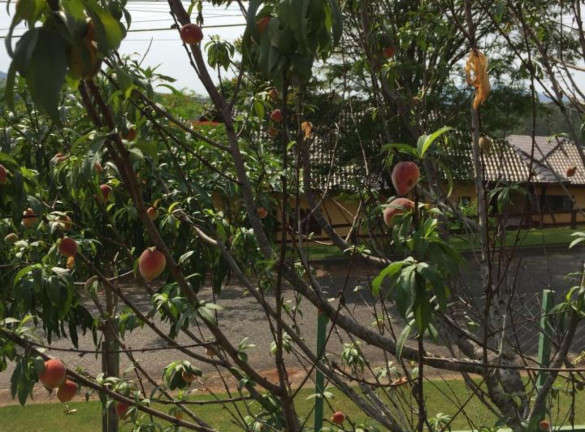 Imagem Sobrado com 3 Quartos à Venda, em Jardim Das Palmeiras - Bragança Paulista Imagem Sobrado com 3 Quartos à Venda, em Jardim Das Palmeiras - Bragança Paulista