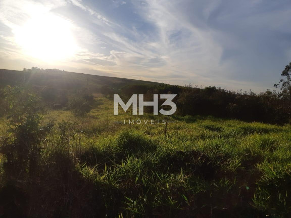 Imagem Terreno à Venda, 54.000 m² em Chácara Recreio Cruzeiro Do Sul - Santa Bárbara D'oeste