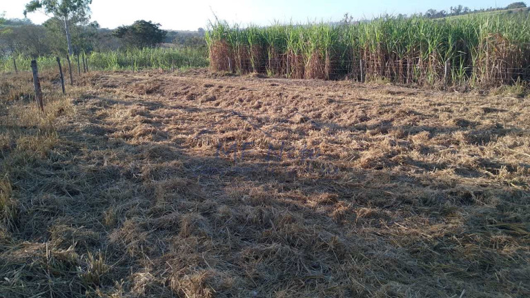 Imagem Fazenda à Venda, 2.500 m² em Vertentes Do Mamonal - Pirassununga Imagem Fazenda à Venda, 2.500 m² em Vertentes Do Mamonal - Pirassununga