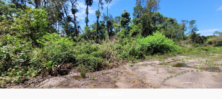 Imagem Terreno à Venda, 384 m² em Continental - Itapoá