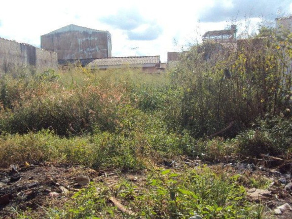 Imagem Terreno à Venda, 360 m² em Jardim Aeroporto - Ribeirão Preto