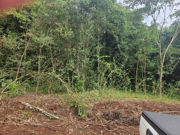 Imagem Chácara à Venda, 2 m² em Arapongas Imagem Chácara à Venda, 2 m² em Arapongas