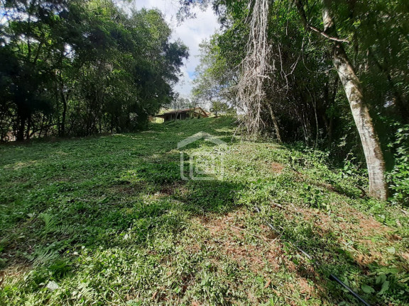 Imagem Imóvel com 2 Quartos à Venda, 7.000 m² em Pião (rural) - Campestre