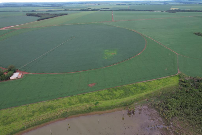 Imagem Fazenda à Venda, 17 m² em Zona Rural - Acreúna Imagem Fazenda à Venda, 17 m² em Zona Rural - Acreúna
