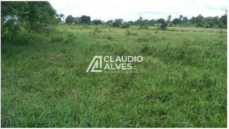 Imagem Terreno à Venda, 13.000 m² em Br 324 - Amélia Rodrigues Imagem Terreno à Venda, 13.000 m² em Br 324 - Amélia Rodrigues
