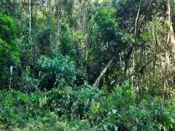 Imagem Terreno à Venda, 3 m² em São Jacó - Nova Petrópolis Imagem Terreno à Venda, 3 m² em São Jacó - Nova Petrópolis