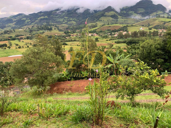 Imagem Chácara com 2 Quartos à Venda, 15.000 m² em Dom Veiçoso - São Lourenço