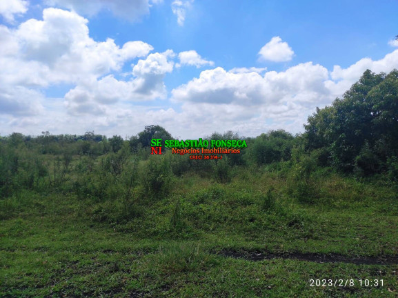 Imagem Chácara à Venda, 12 m² em Chácara Marambaia - Caçapava Imagem Chácara à Venda, 12 m² em Chácara Marambaia - Caçapava