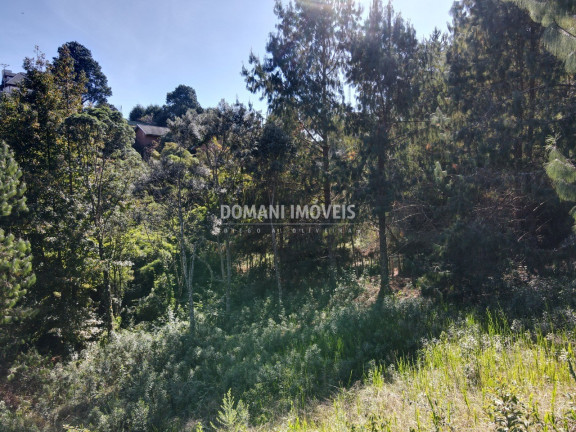 Imagem Terreno à Venda, 1.215 m² em Região Do Alto Da Boa Vista - Campos Do Jordão Imagem Terreno à Venda, 1.215 m² em Região Do Alto Da Boa Vista - Campos Do Jordão
