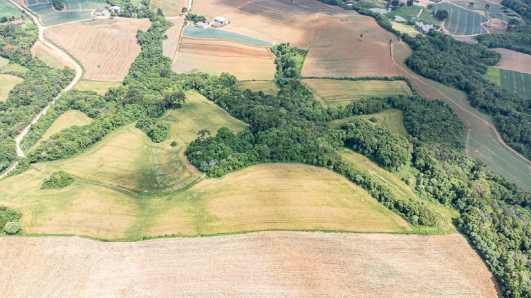 Imagem Terreno à Venda, 145.200 m² em Vila Dom Pedro Ii - Campo Largo