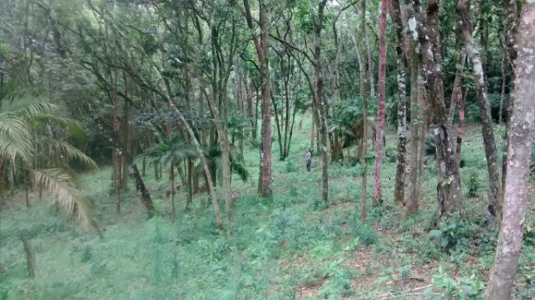 Imagem Terreno à Venda, 9.200 m² em Centro - Extrema Imagem Terreno à Venda, 9.200 m² em Centro - Extrema