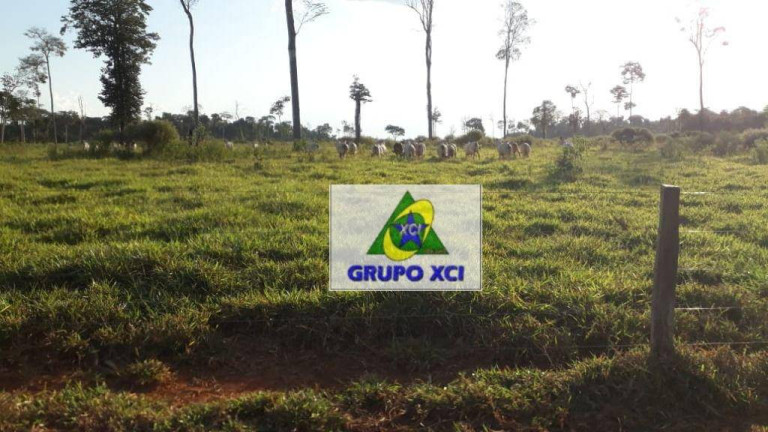 Imagem Fazenda à Venda, 10.527.000 m² em Zona Rural - Juina Imagem Fazenda à Venda, 10.527.000 m² em Zona Rural - Juina