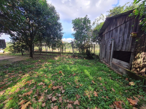 Imagem Chácara com 3 Quartos à Venda, 4.840 m² em Centro - Passo Do Sobrado Imagem Chácara com 3 Quartos à Venda, 4.840 m² em Centro - Passo Do Sobrado