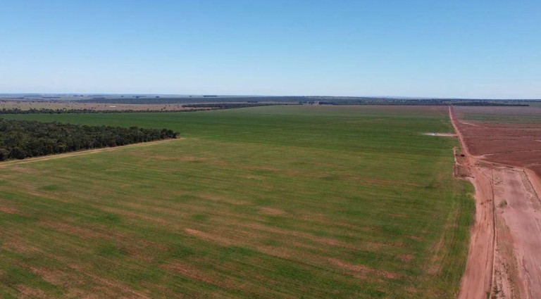 Imagem Fazenda à Venda, 8.100 m² em Rural - Chapadão Do Sul Imagem Fazenda à Venda, 8.100 m² em Rural - Chapadão Do Sul