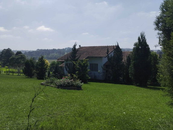 Imagem Chácara com 3 Quartos à Venda, 180 m² em Campo Alegre