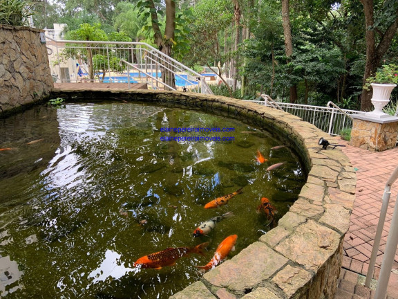 Imagem Imóvel com 4 Quartos à Venda, 192 m² em Jardim Arpoador - São Paulo