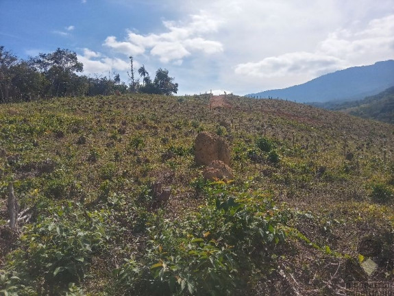 Imagem Imóvel à Venda, 20.000 m² em Fazendinhas Quintas Do Ouro - Caeté Imagem Imóvel à Venda, 20.000 m² em Fazendinhas Quintas Do Ouro - Caeté
