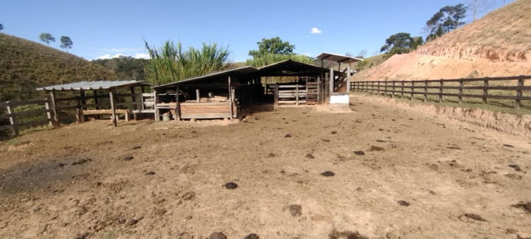 Imagem Chácara com 1 Quarto à Venda, 100 m² em Vila São José - Guaratinguetá Imagem Chácara com 1 Quarto à Venda, 100 m² em Vila São José - Guaratinguetá