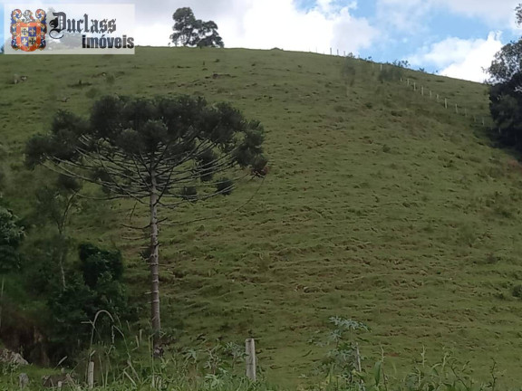 Imagem Chácara com 3 Quartos à Venda, 41.000 m² em Bairro Do Azevedo - Joanópolis Imagem Chácara com 3 Quartos à Venda, 41.000 m² em Bairro Do Azevedo - Joanópolis
