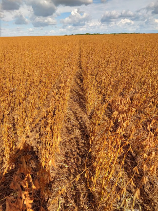 Imagem Imóvel à Venda,  em Nordeste Do Tocantins - Santa Rosa Do Tocantins