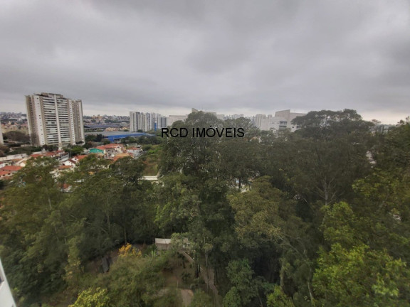 Imagem Apartamento com 3 Quartos à Venda, 64 m² em Jardim Olympia - São Paulo
