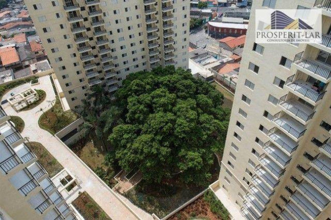 Imagem Apartamento com 3 Quartos à Venda, 76 m² em Picanco - Guarulhos